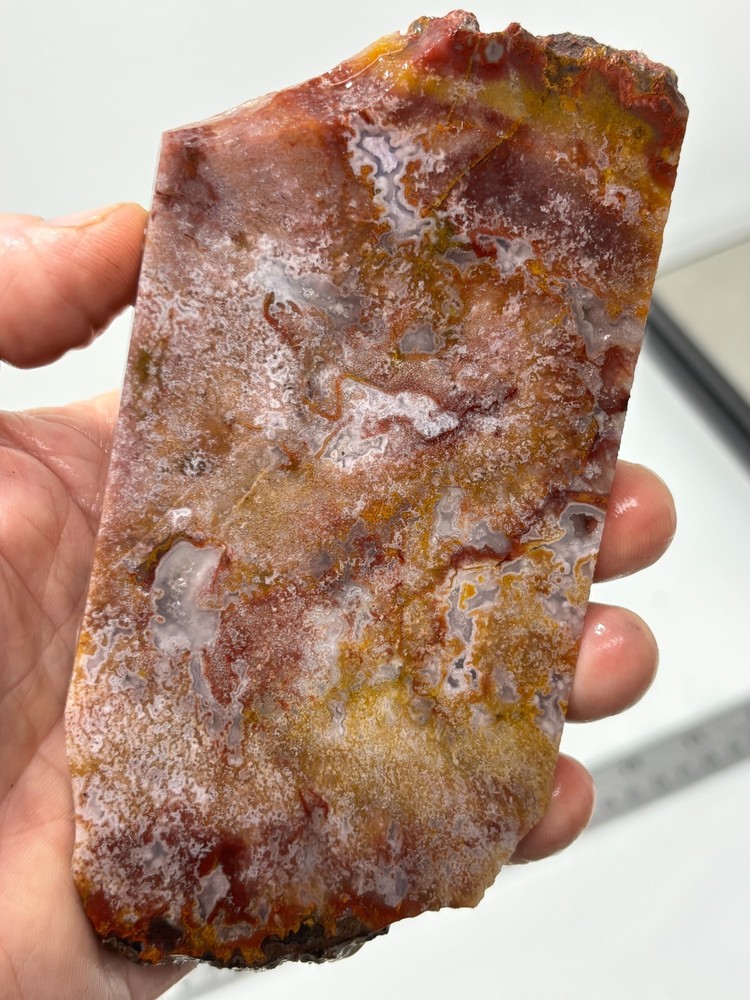 Mexican Red Moss Agate Slab Lapidary Cabbing Combo Ship Avail