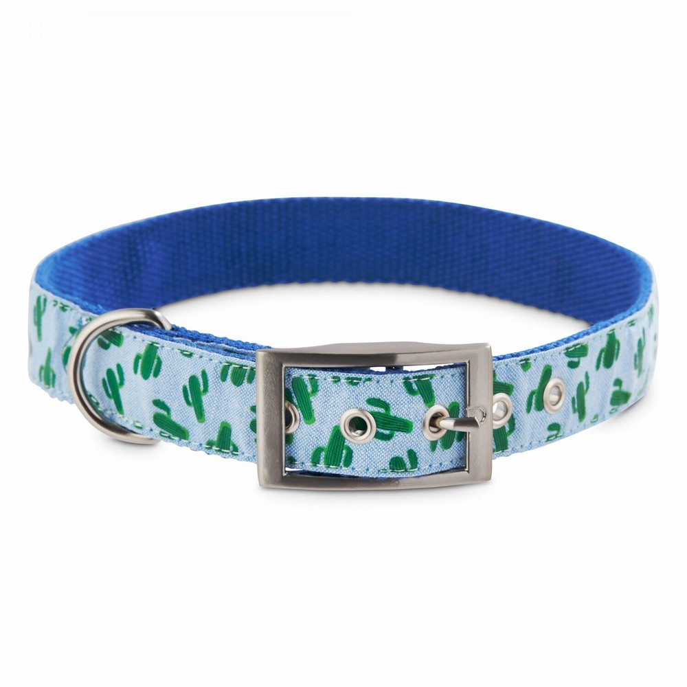 Bond & Co. Cosmo Cactus Dog Collar, Medium By: Bond & Co
