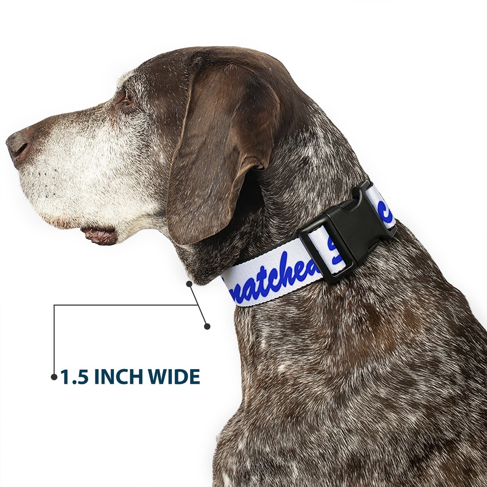 Plastic Clip Collar SNATCHED Script White/Blue WIDE-Small 13-17"