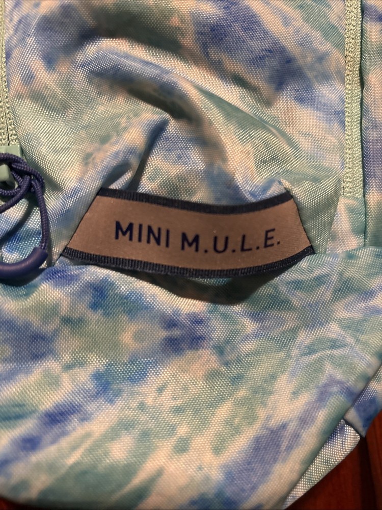 camelbak mini m.u.l.e. kids hydration backpack