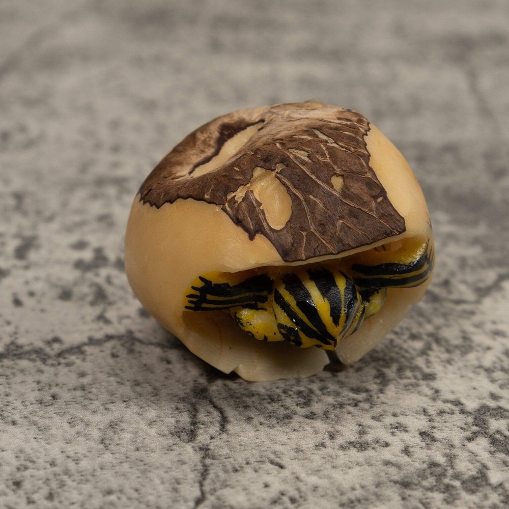 Tortise And Egg Tagua Carving