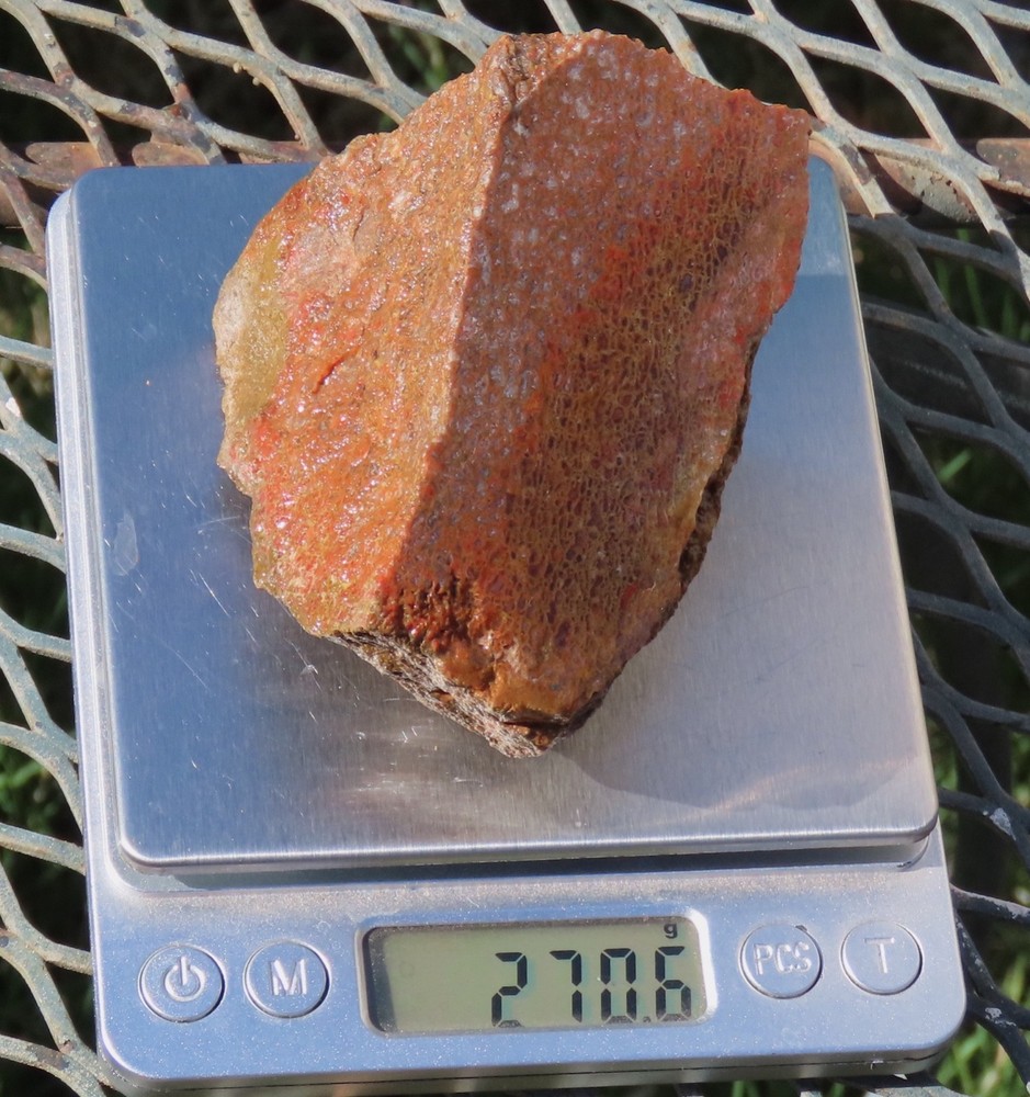 Fossil Dinosaur Gem Bone Specimen -DS78-Jurassic/Morrison Formation
