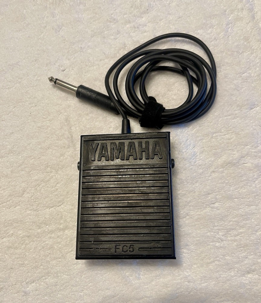 Roland SDE-1000 Digital Delay Effects Processor With Tap Pedal