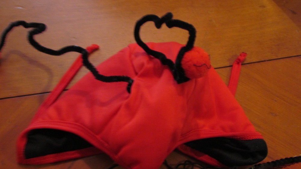 Lady Bug Costume Child Size 6 Months