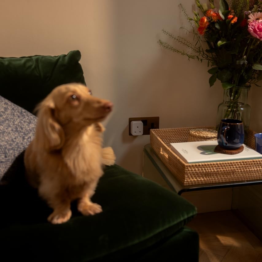 Hive Active Plug-3 Pack