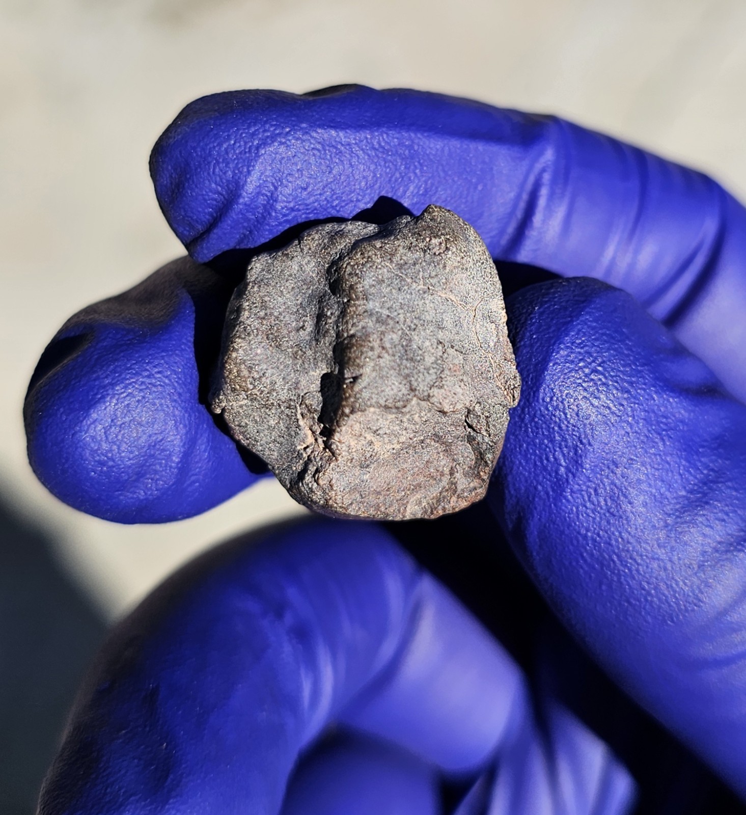 Atacama Desert, Chile | 7.871 Grams | Fusion Crusted Individual