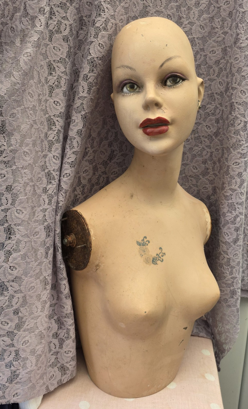 Vintage 'Vera' 1950's - 1960's Fibreglass Bust Manniquin