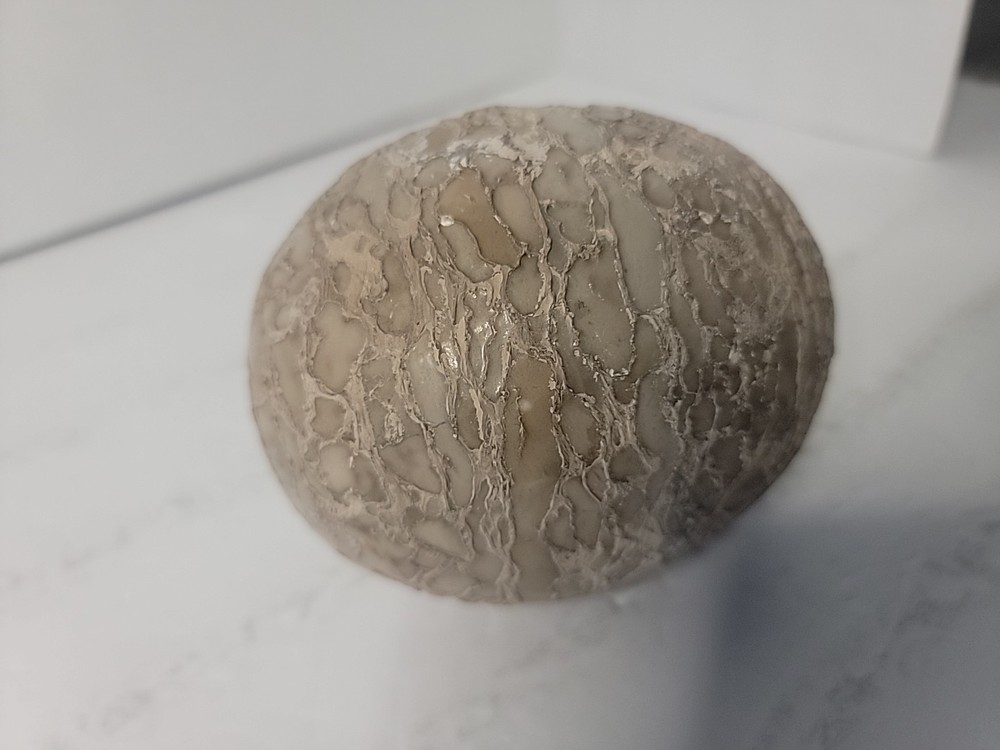 Dinosaur Egg Fossilized Crystallized Fossil QQ