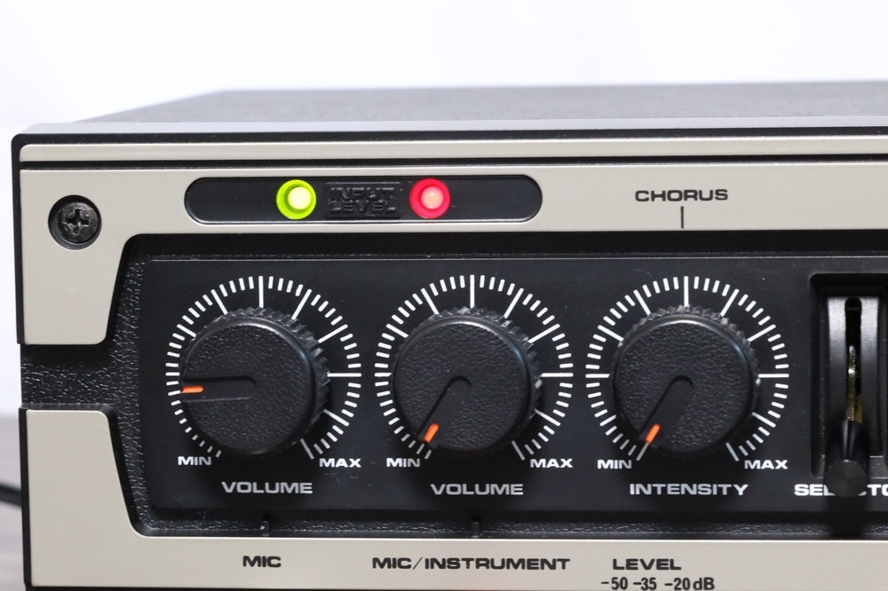 Roland DC-30 Analog Chorus Echo MN3005 BBD Long Delay W/Step-down transformer
