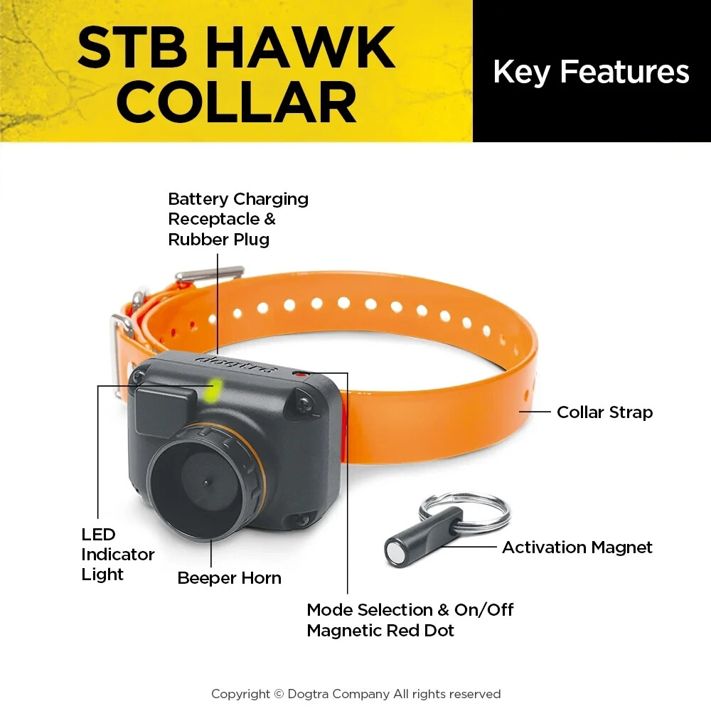 Dogtra STB Beeper Collar – Hawk Version Dog Training Collar