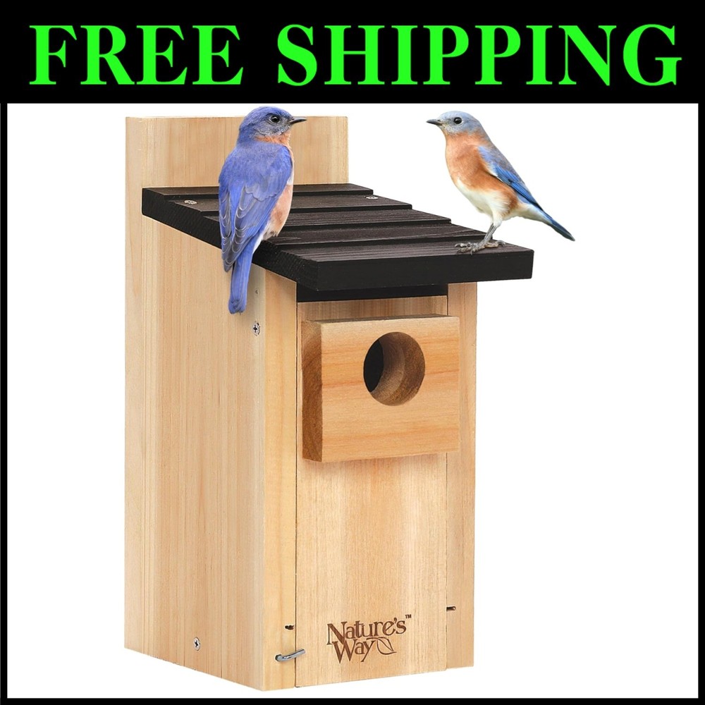 Durable Bluebird Box for Pet Lovers