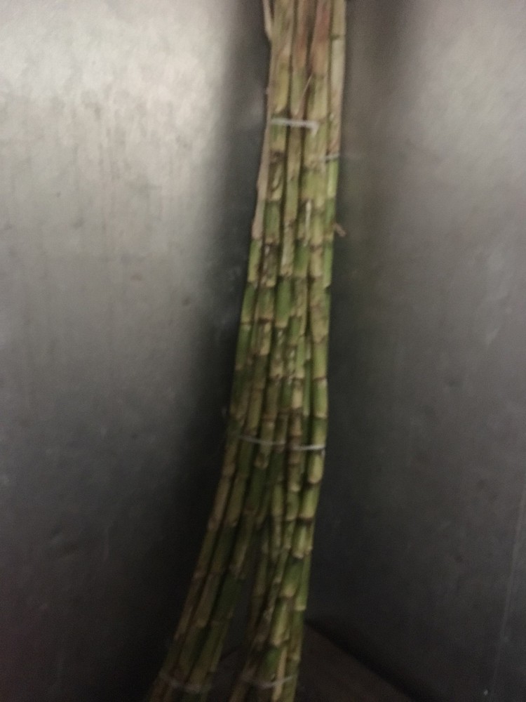 Fresh Sugarcane (5 lbs) Sugar Cane
