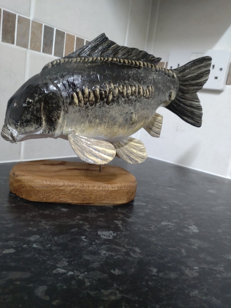 Carp Fishing, linear Carp statue