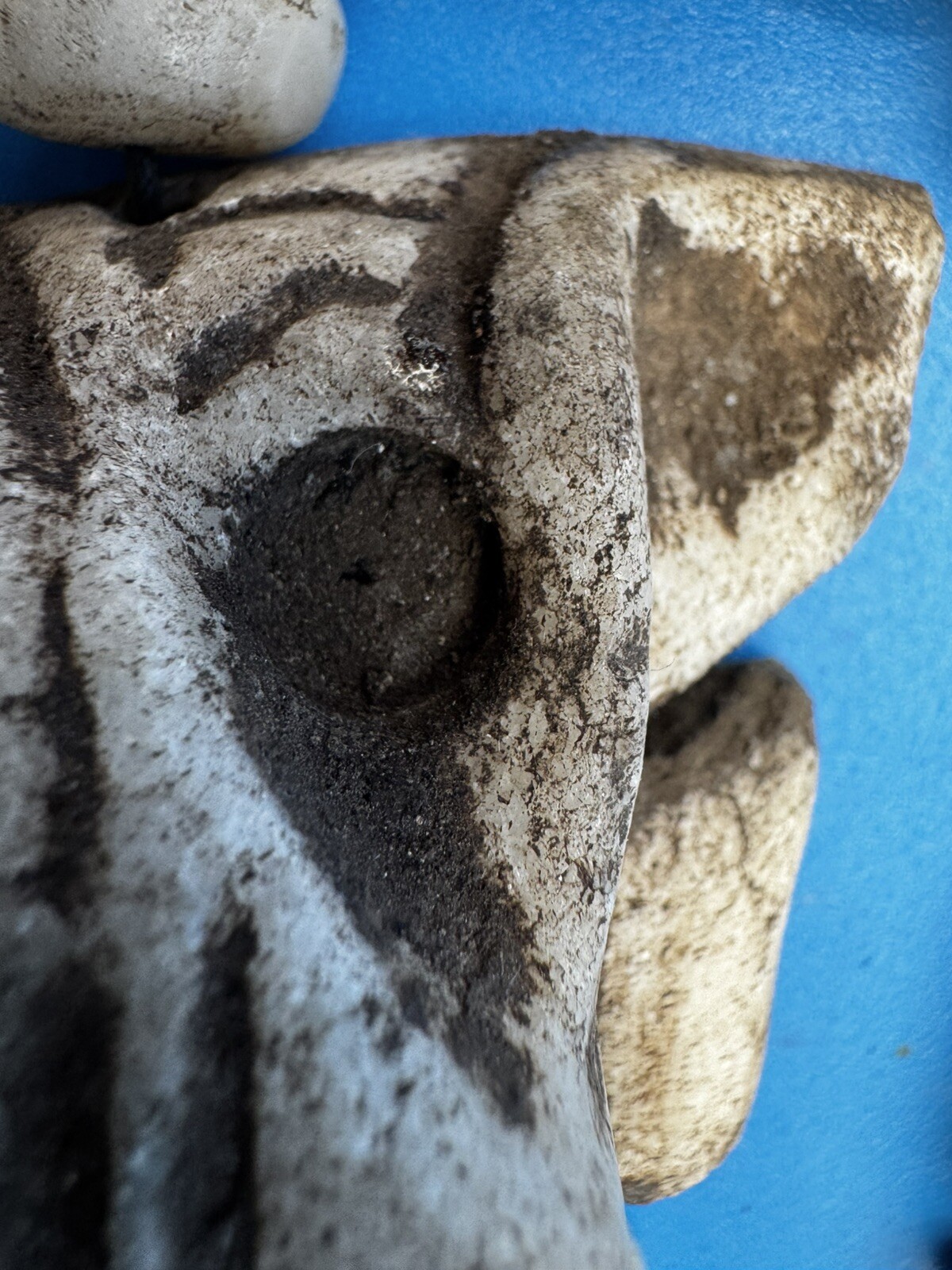 Tula Hidalgo Pre Columbian Toltec Alien Stone Carving Pendant Ojuelos