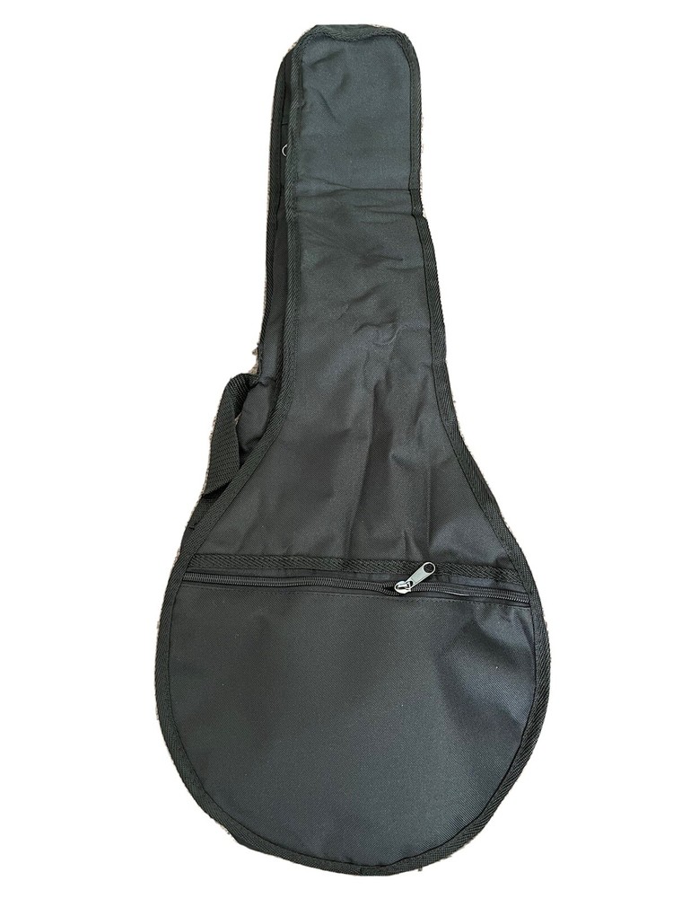Mandolin gig bag