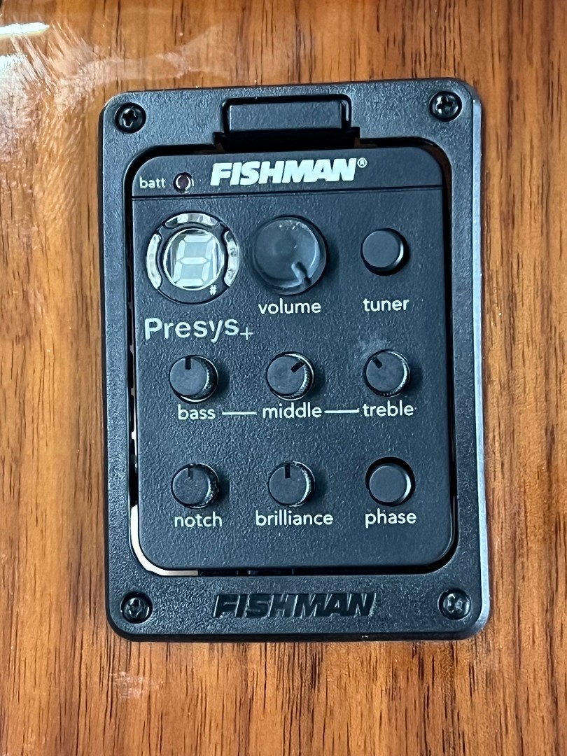 Luna Guitars Vista Mustang Wild Horse Body Acoustic Electric Guitar