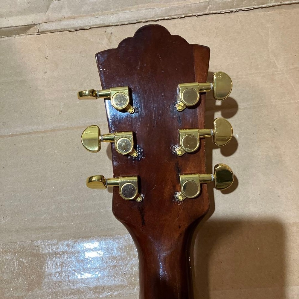 Mysterious Domestic Guild Model