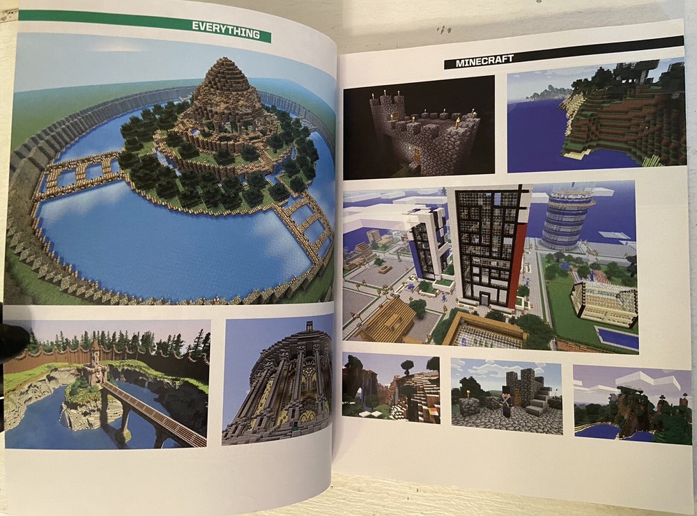 Everything Minecraft The Unofficial Guide, 1994, VG Condition