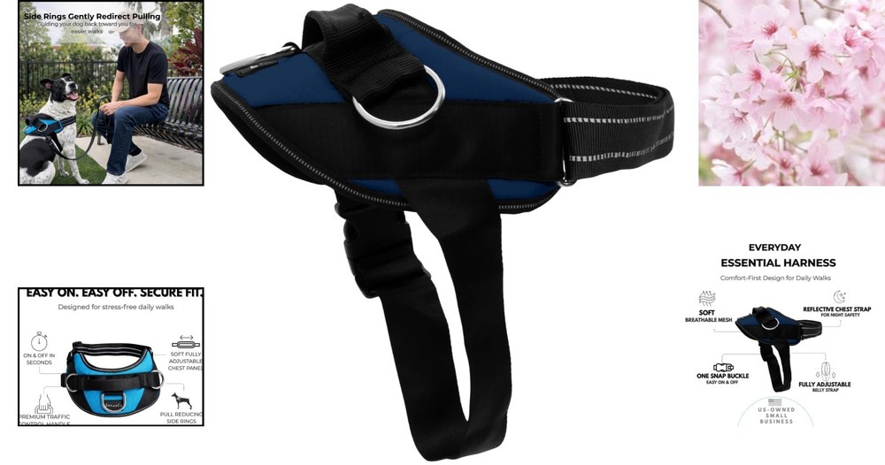 No-Pull Harness for Dogs - Adjustable, Reflective, Medium, Pacific Blue