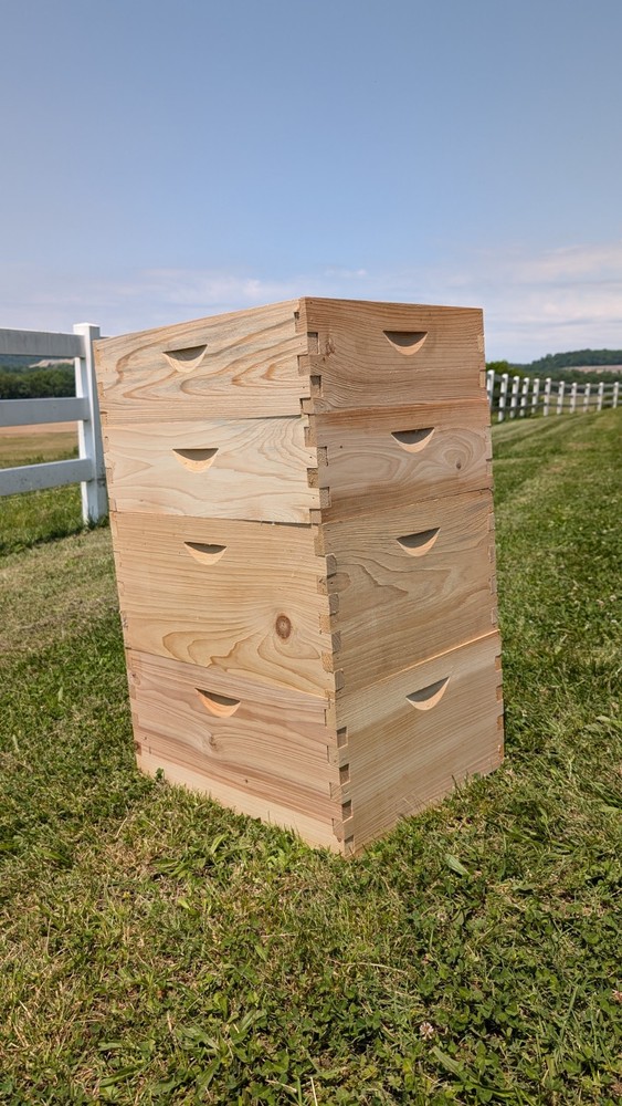Cypress Langstroth Beehive Ten Frame Budget Grade