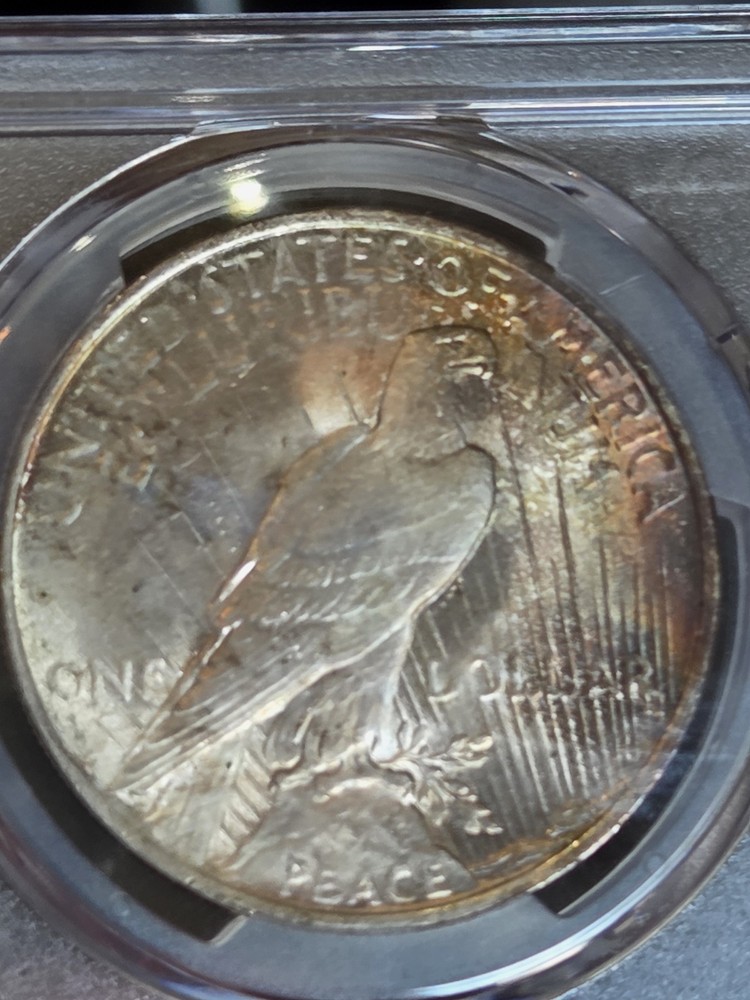 1924 $1 Peace Dollar PCGS MS64 Toned
