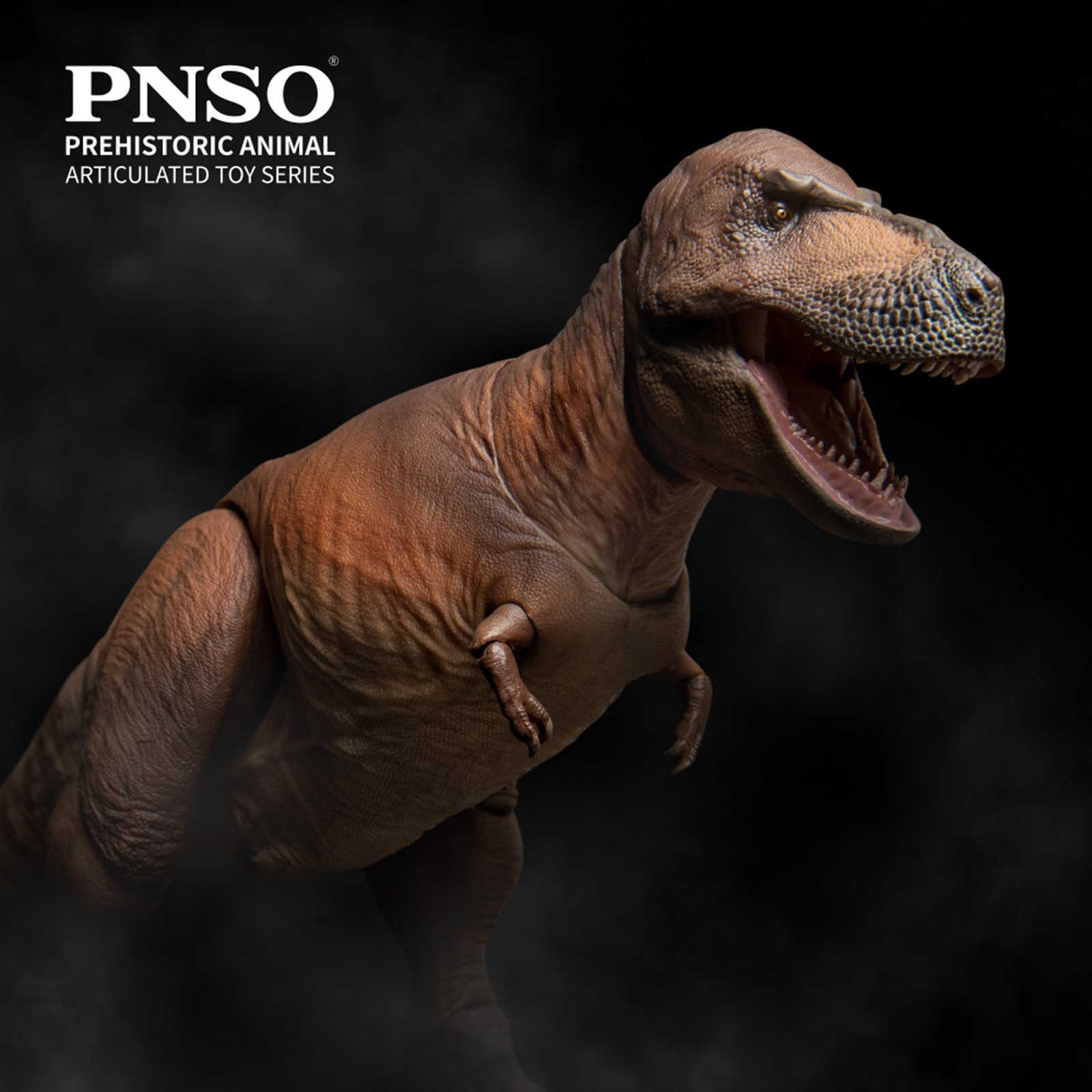 PNSO 1/35 Tyrannosaurus Rex 01 Action Figure Articulated Dinosaur Model GiftToys