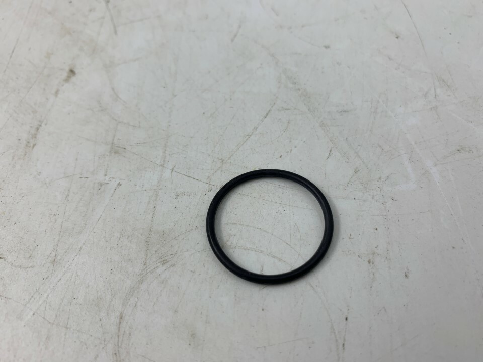 Sandpiper 560-058-360 O-ring  Diameter: 1“