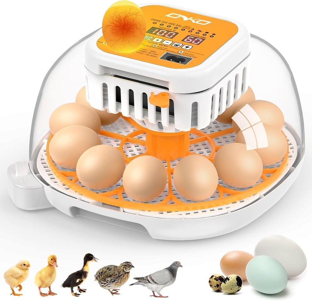 12 Egg Incubator with Automatic Egg Turning and Humidity Control