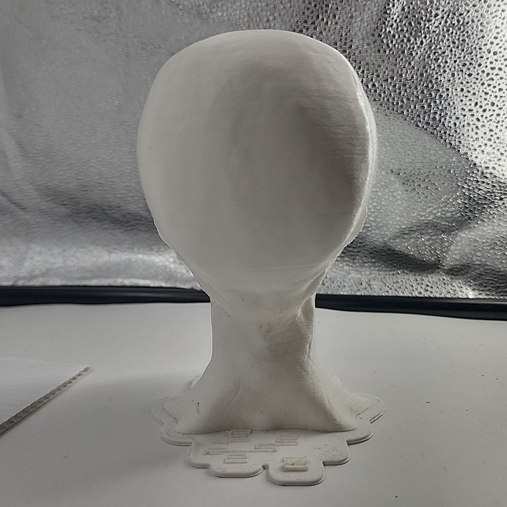 3D Printed Alien Head [109]