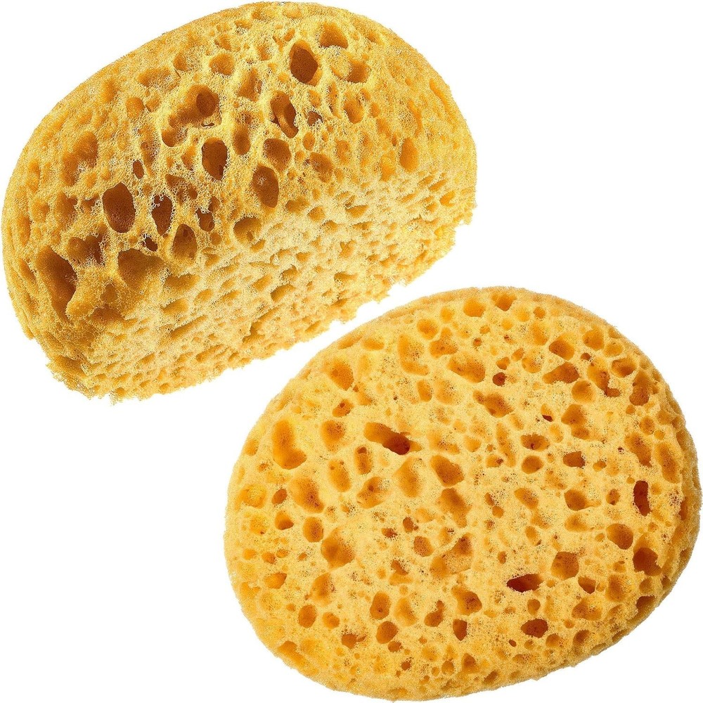 2-Pack Durable Knockdown Texture Sponge for Effortless Wall & Ceiling Repairs