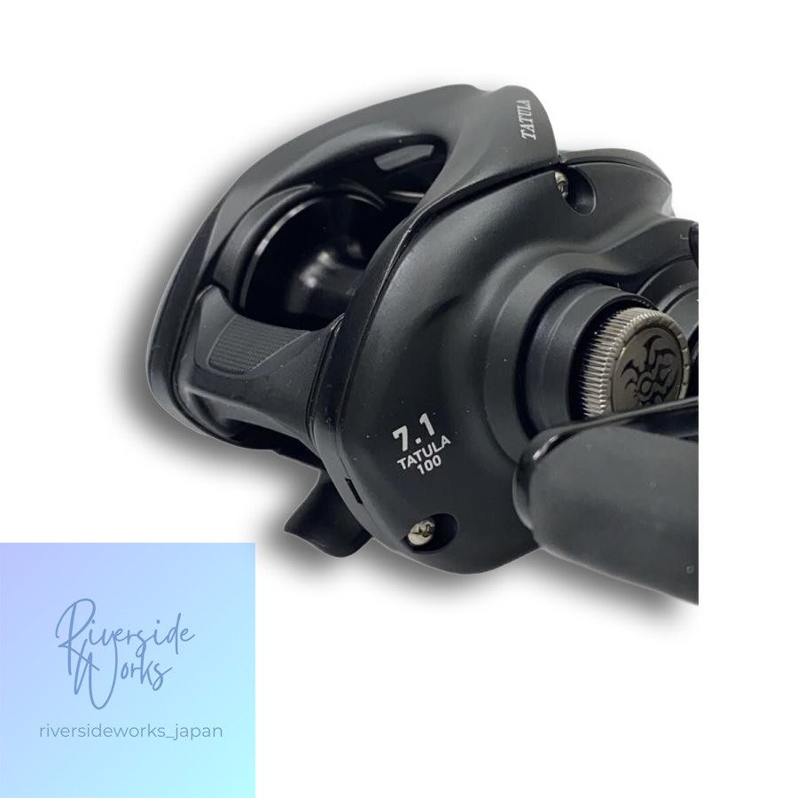 DAIWA TW100HL Baitcasting Reel High Performance