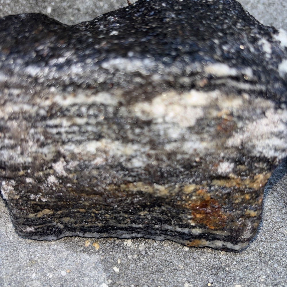 Gneiss Excellent Examples