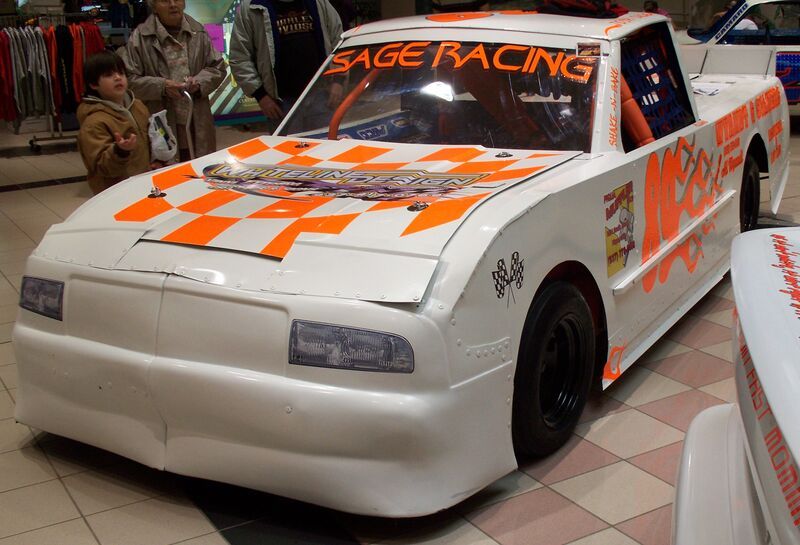 Neon Race Car Sign Vinyl, 24 inch x 30 feet, Fluorescent EasyColor Ships Free