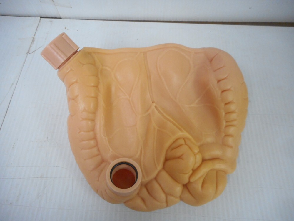 Medical Lab Simulation Manikin Intestinal Insert
