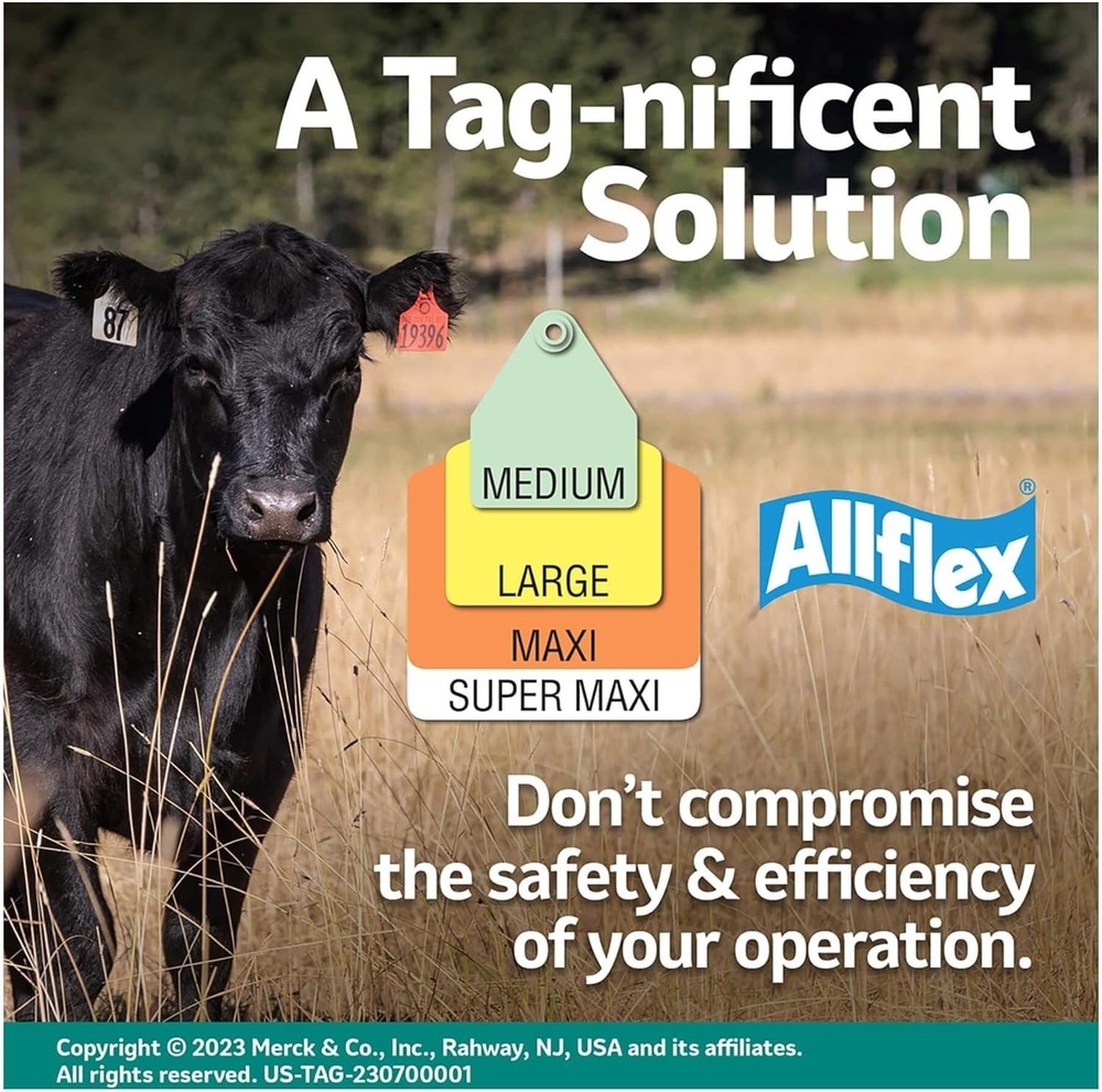 Maxi GLBL TAG GRN BLNK 25'S