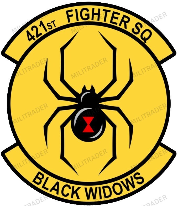 USAF 421st Fighter Squdron Self-adhesive Vinyl Decal