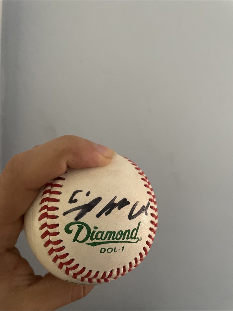 Marcel Ozuna Baseball