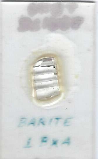 Barite ⟂ Bxa Whole Mount Petrographic Microscope Slide