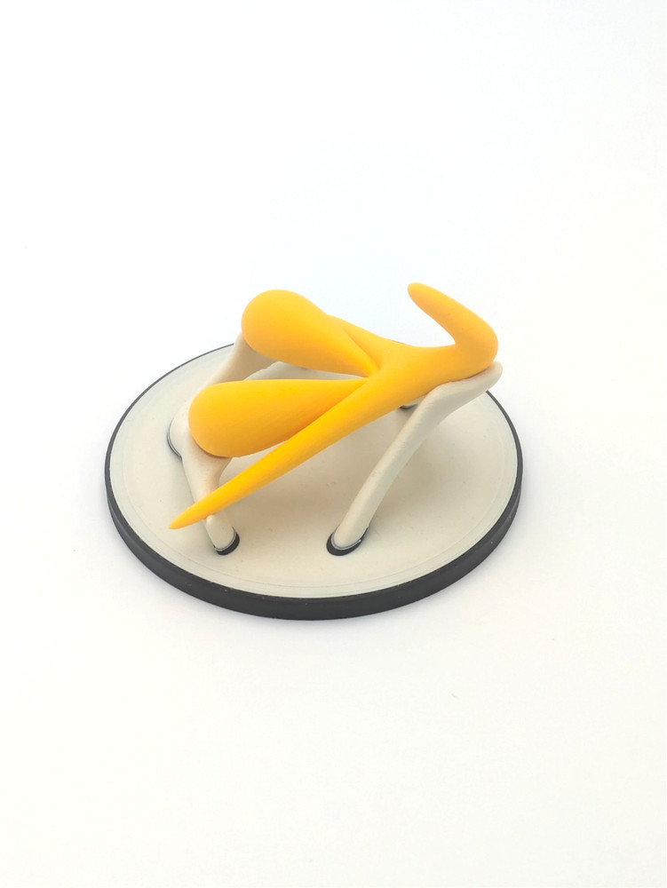 Educational Clitoris Anatomy Model with Stand – Yellow | Teaching Aid