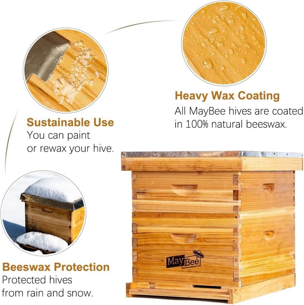 Beginner Beekeeping Kit with Cedarwood Beehive
