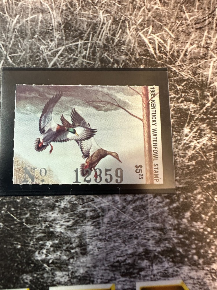 1985 Kentucky State Duck Stamp,
