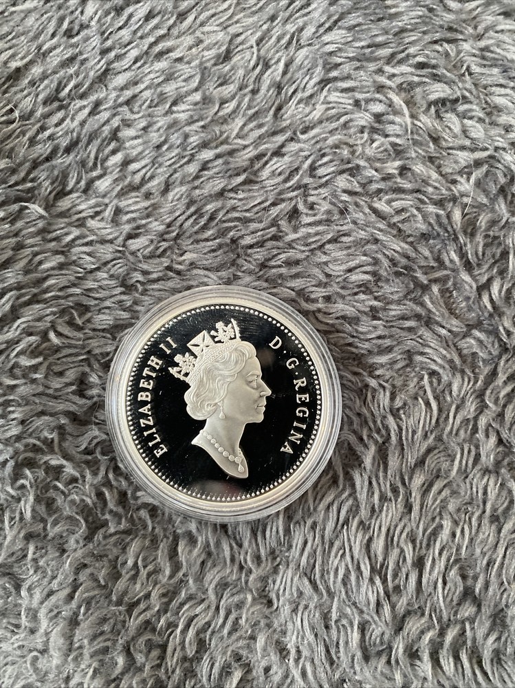proof dollar 2003 canadian mint coin