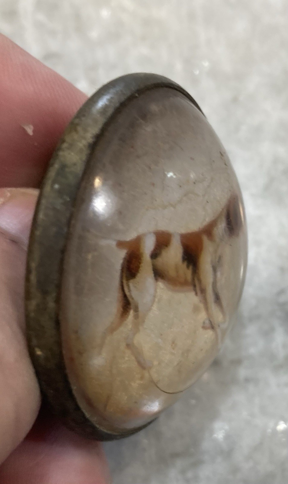 Antique Original Vintage Horse Bridle Rosette Bird Dog Brass And Glass Free Ship