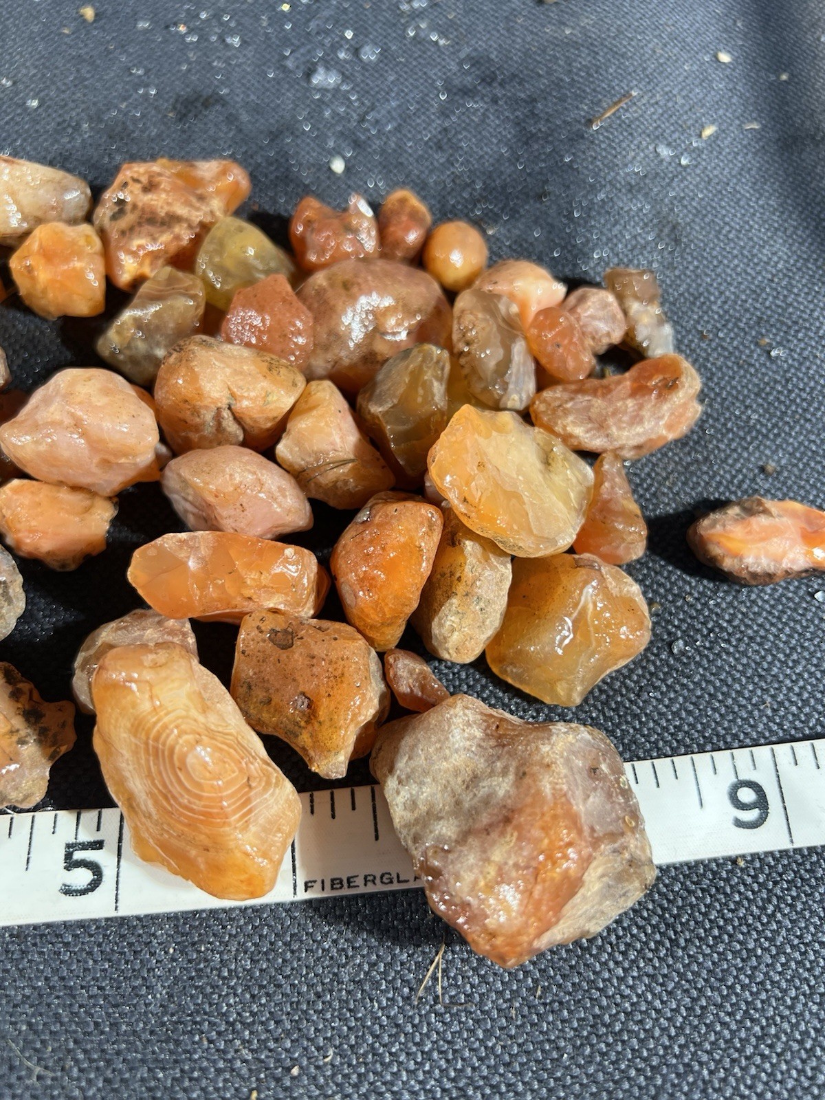 Carnelian Agate Nugget Rough 1 lb 4.5 oz 40 in lot Oregon, great color