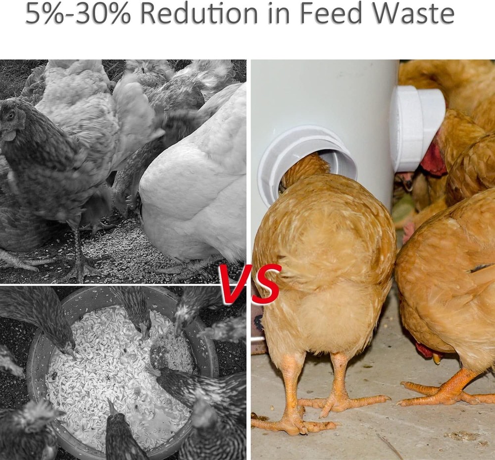 5-Gallon Gravity Feeder Kit for Chickens – Rainproof & Mess-Free Solution