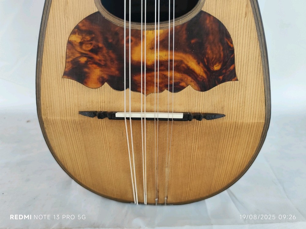 Mandolin 4/4 Alberti 1910 Rome 曼陀林 만돌린マンドリン