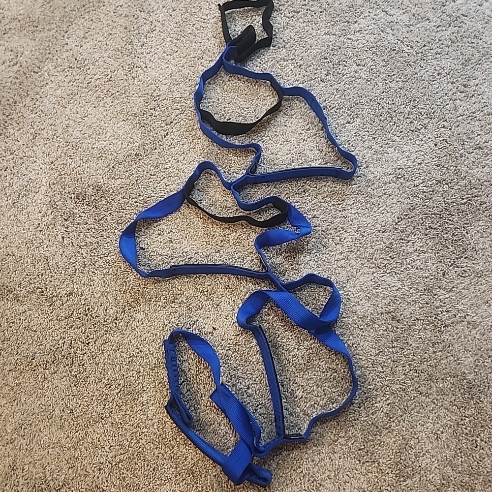 Metolius Alpine Aider 1in Blue 4 Step, 60in