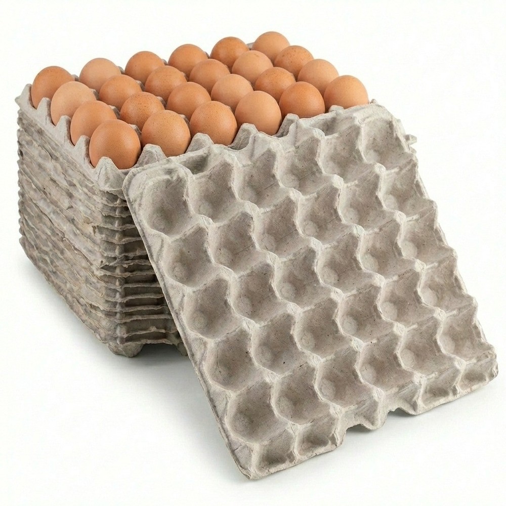 Pulp Flat Egg Carton