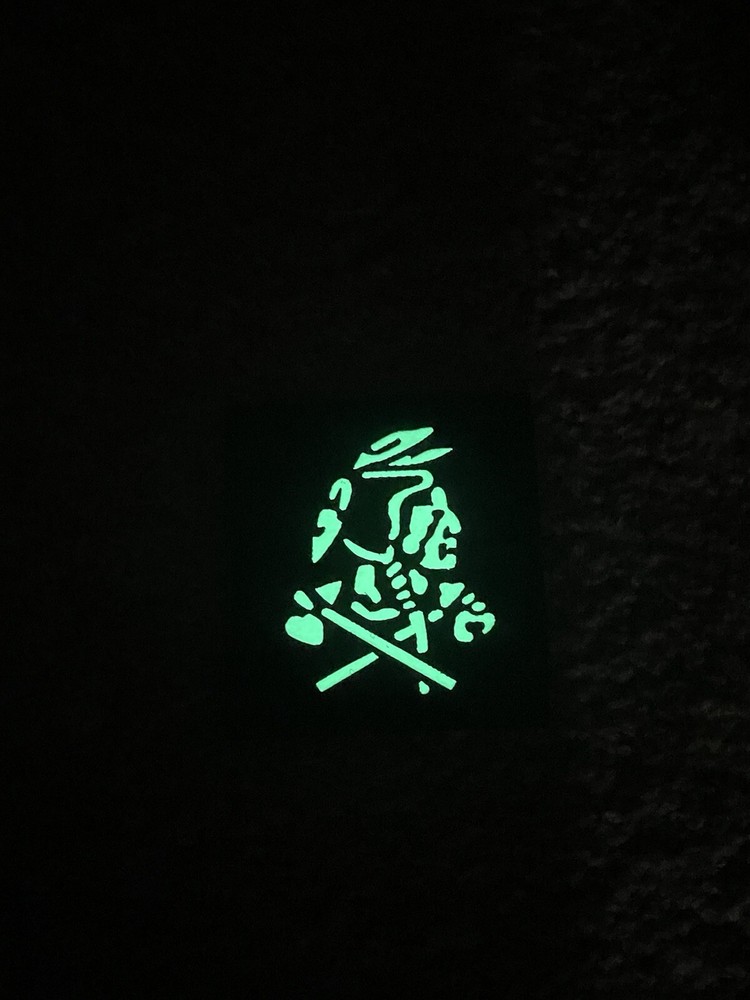 Seal Team 6 Red Squadron Glow Patch DEVGRU Team Bin Laden Hook Backed Reflective