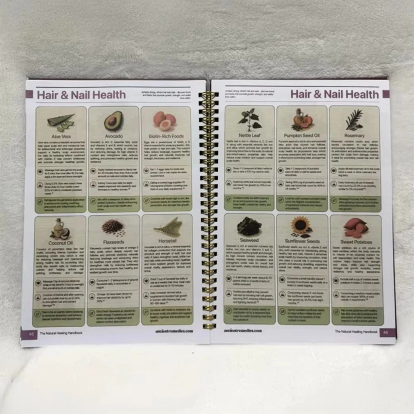 The Natural Healing Handbook, Spiral-Bound Guide For Herbal Remedies And Natural
